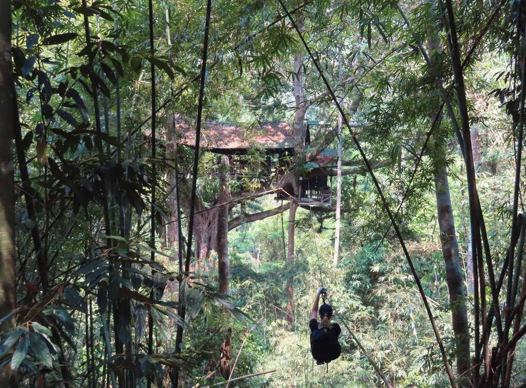 Ziplinen in de jungle